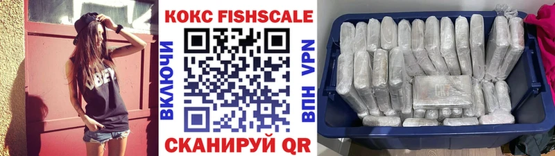 Cocaine Fish Scale  купить закладку  Новочебоксарск 