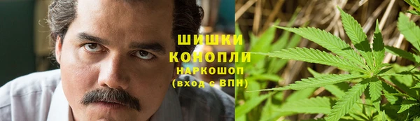 дживик Верхний Тагил