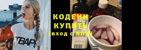 дживик Верхний Тагил