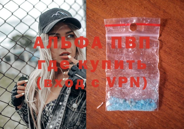 дживик Верхний Тагил